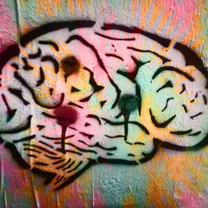 brain-damage-scaled-1.jpg Mind Mosaic